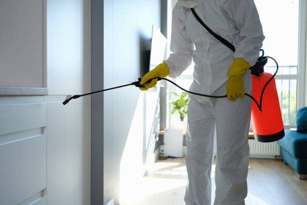 Best Home Mold Removal  in Fanwood, NJ