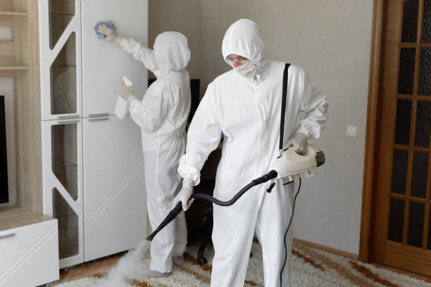 Best Toxic Mold Removal  in Fanwood, NJ