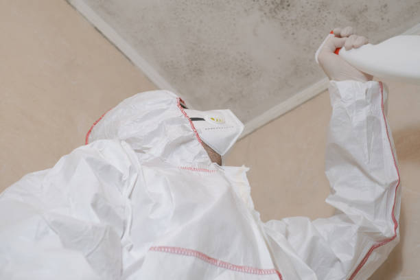 Best Commercial Mold Removal  in Fanwood, NJ
