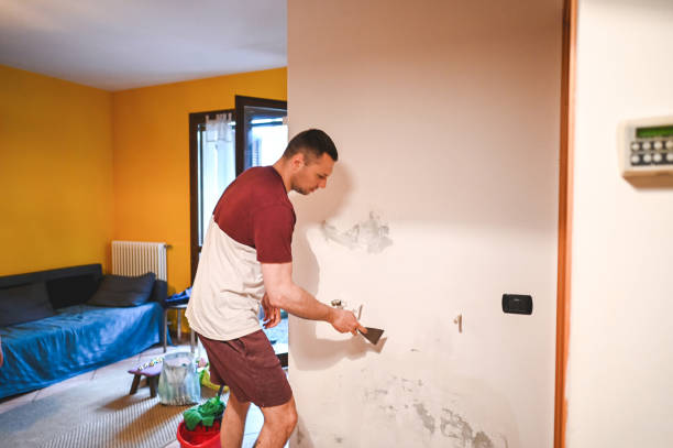 Attic Mold Removal in Fanwood, NJ
