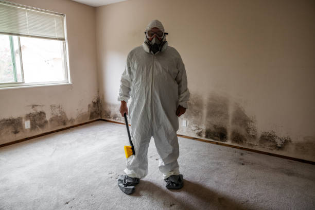 Best Same-Day Mold Removal  in Fanwood, NJ